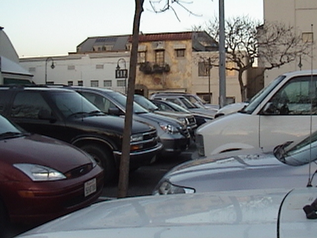 dsc00558.jpg